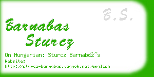 barnabas sturcz business card